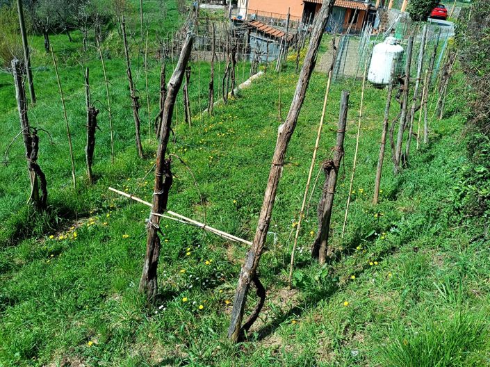 Image No.21-2 Bed House for sale