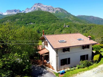d1728040520250903552