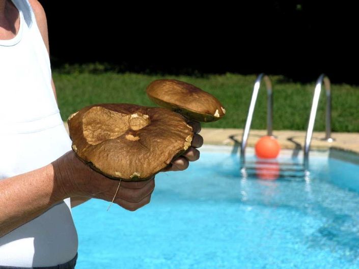 Image No.12-Maison de campagne de 6 chambres à vendre à Villafranca in Lunigiana