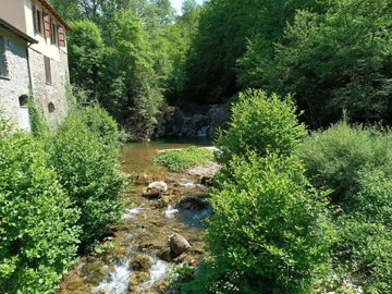 d1727040520250857502