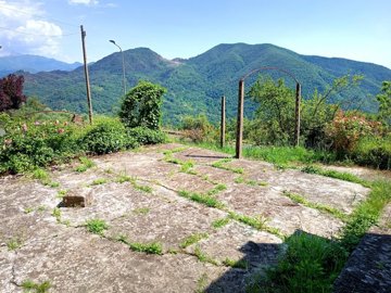 d1724040520250818205