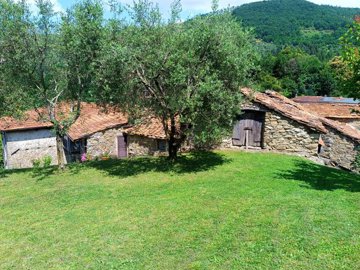 d1720040520250750533