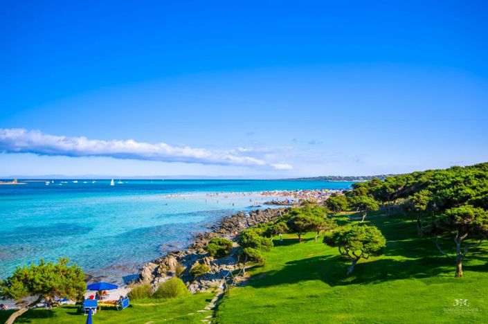 Image No.26-3 Bed House for sale