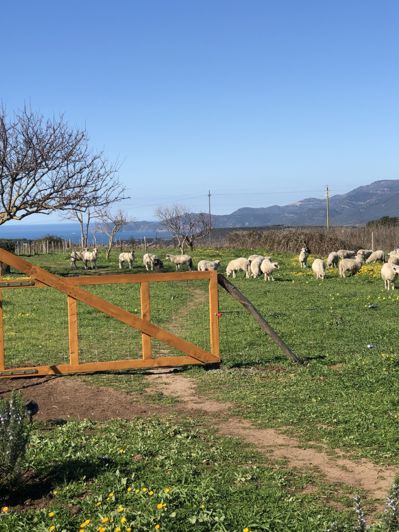 Image No.11-5 Bed House for sale