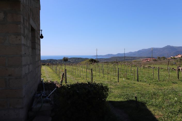 Image No.23-5 Bed House for sale