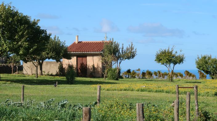 Image No.8-5 Bed House for sale