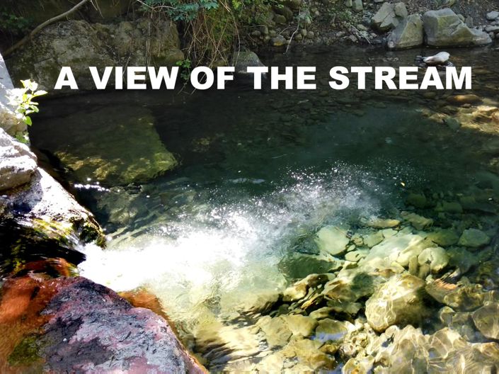 Image No.5-Maison de 1 chambre à vendre à Lucca