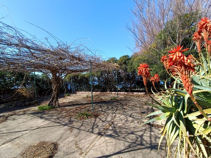 Image No.16-6 Bed House for sale