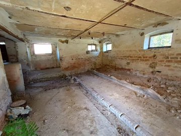 d17180405202507244415