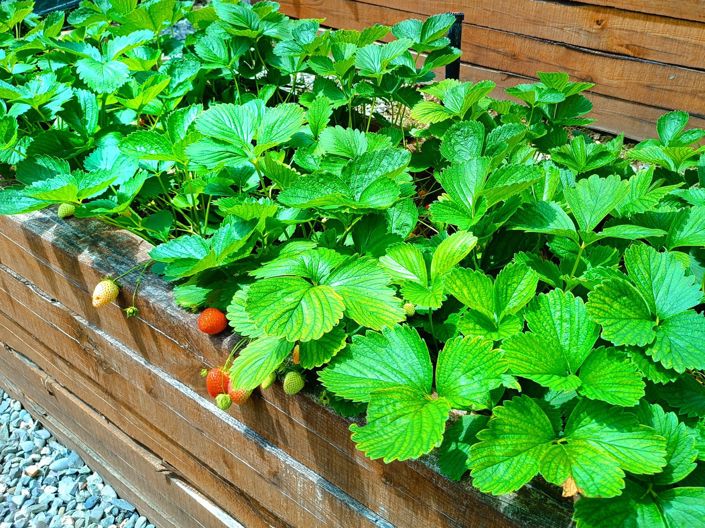 Image No.14-3 Bed House for sale