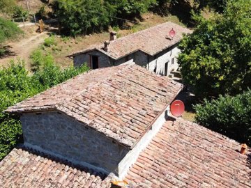 d1726040520250850473