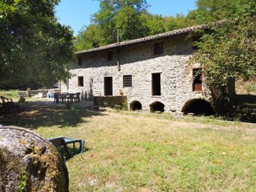 d17260405202508504711