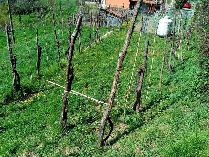 Image No.21-Maison de 2 chambres à vendre à Tresana