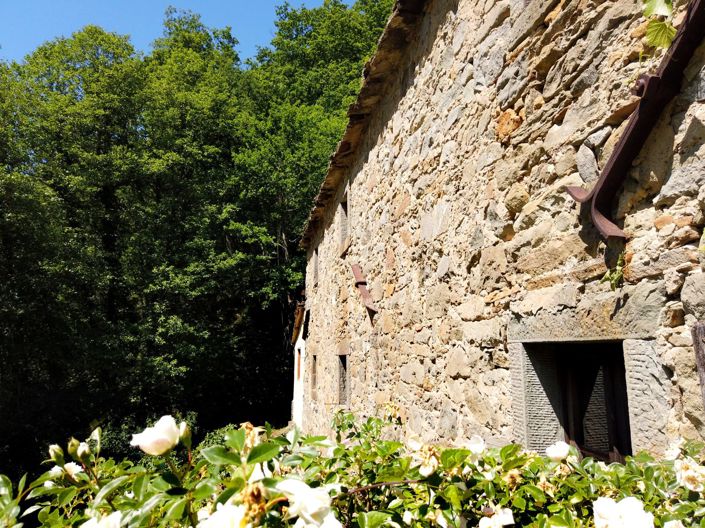 Image No.15-Maison de 5 chambres à vendre à Pieve Fosciana