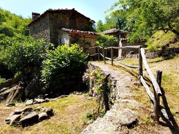 vendita-propriet-indipendente-lucca-rif-mln-1