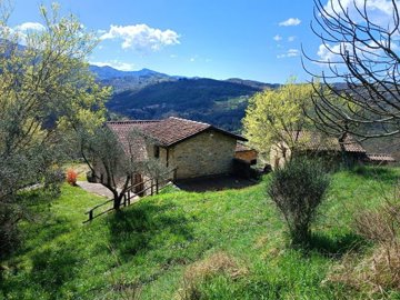 vendita-gruppo-di-fabbricati-massa-carrara-ri