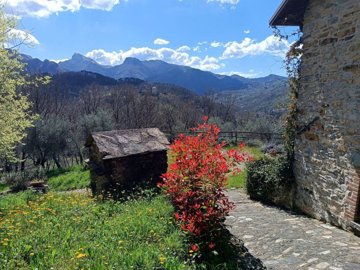 vendita-gruppo-di-fabbricati-massa-carrara-ri