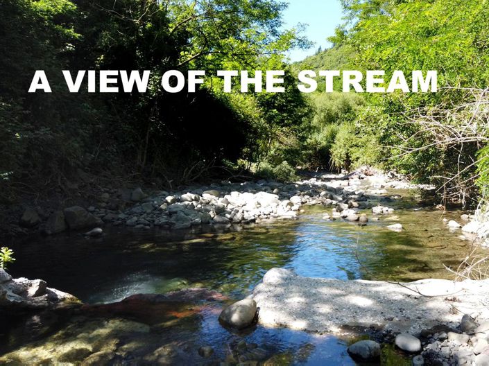 Image No.6-1 Bed House for sale