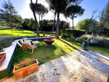 d1846230520251617428