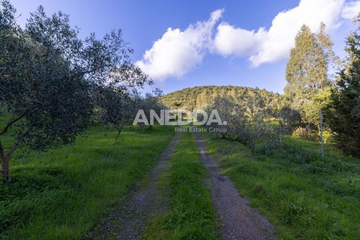 Image No.8-4 Bed House for sale