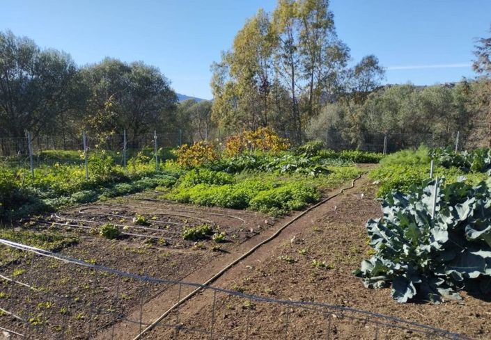 Image No.13-4 Bed House for sale