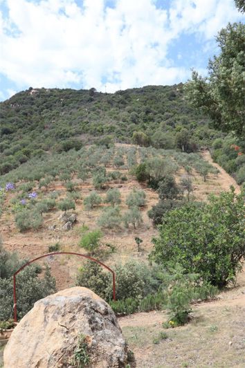 Image No.7-5 Bed House for sale