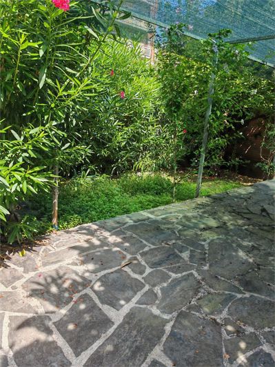 Image No.25-3 Bed House for sale