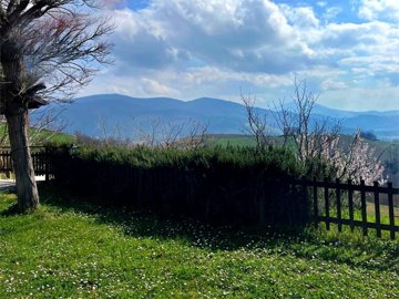 vendita-propriet-semi-indipendente-ancona-rif