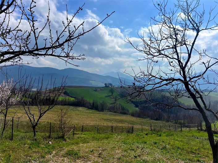 Image No.20-Maison de 4 chambres à vendre à Arcevia