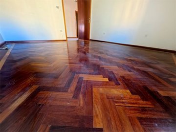 d20492504202607545812