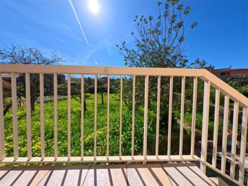 d2049250420260754574