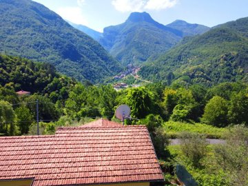 d20502604202608384219