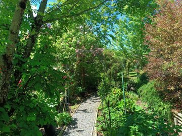 d20502604202608384221