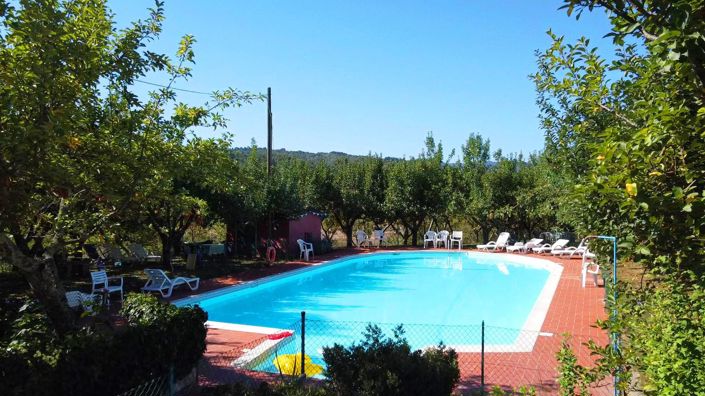 Image No.6-15 Bed Country House for sale