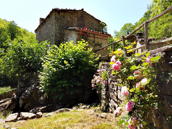 Image No.5-5 Bed House for sale