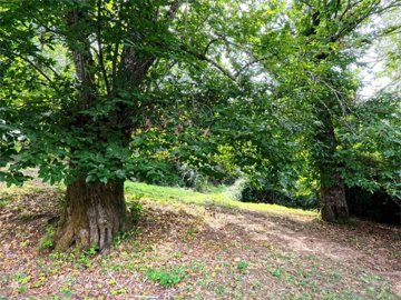 vendita-propriet-semi-indipendente-lucca-rif-