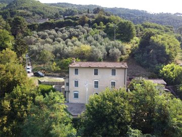 vendita-propriet-indipendente-lucca-rif-ver-2
