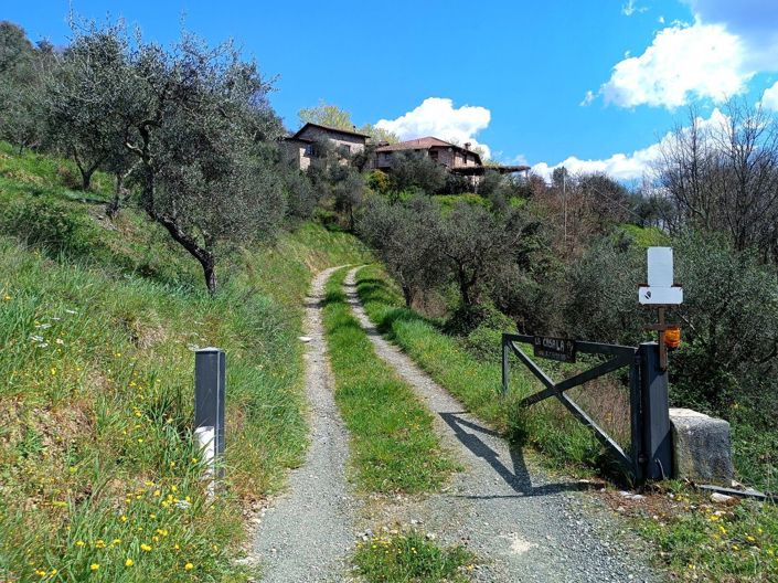Image No.3-6 Bed Country House for sale
