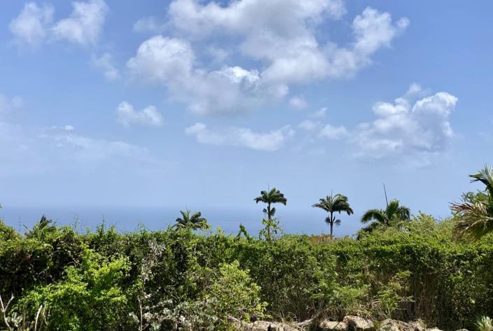 Image No.14-1 Bed Cottage for sale