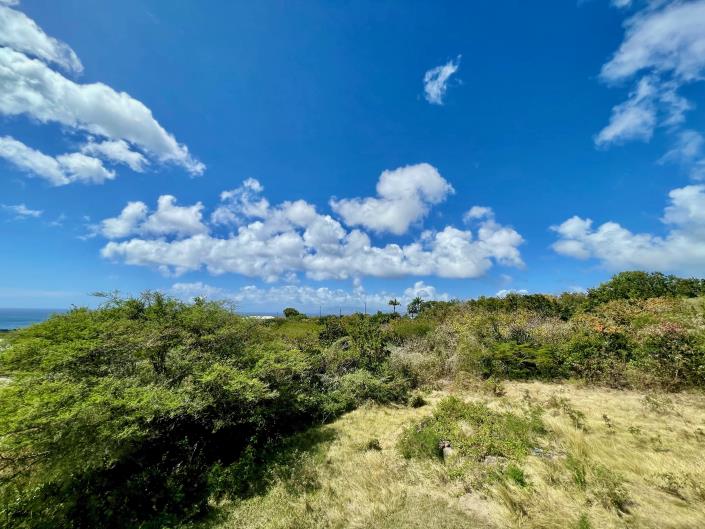 Image No.13-Maison de 2 chambres à vendre à Gingerland
