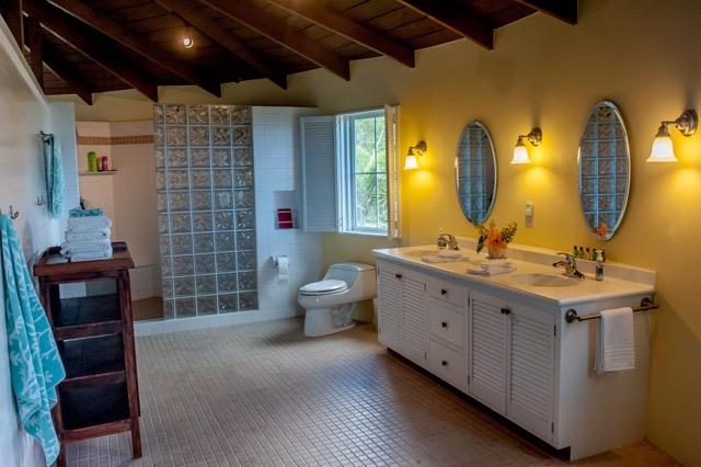 Image No.12-Propriété de pays de 4 chambres à vendre à Gingerland