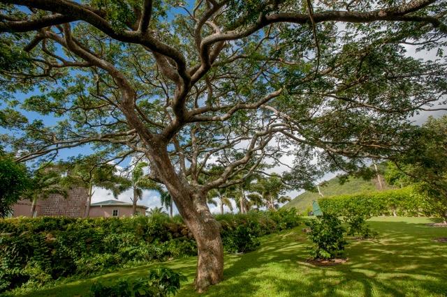 Image No.21-Propriété de pays de 4 chambres à vendre à Gingerland
