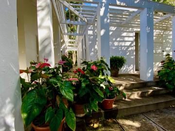 Secret-Garden-45