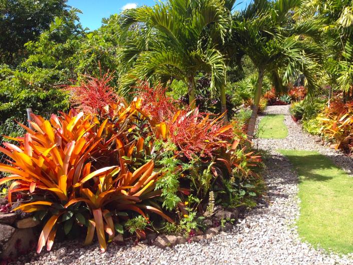 Image No.10-Maison de 3 chambres à vendre à Gingerland