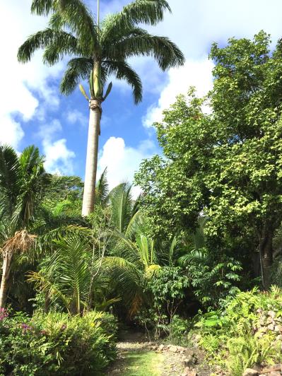 Image No.13-Maison de 3 chambres à vendre à Gingerland