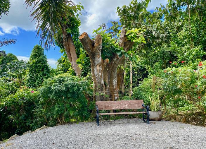 Image No.16-Villa / Détaché de 3 chambres à vendre à Gingerland