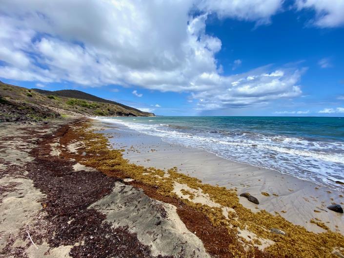 Image No.5-Land for sale