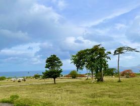 Image No.4-Terre à vendre à Nevis