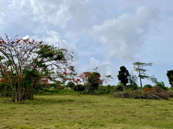 Image No.6-Terre à vendre à Nevis