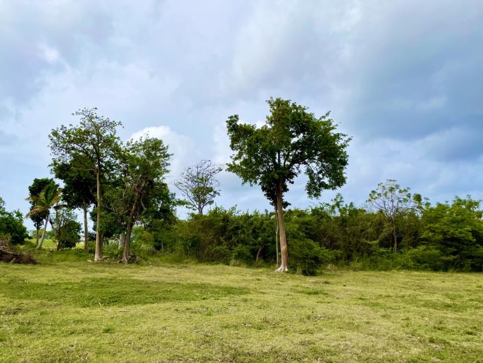 Image No.9-Terre à vendre à Nevis